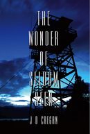 The Wonder of Seldom Seen